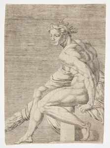 सिस्टिन चैपल से नग्न तस्वीर द्वारा Maarten van Heemskerck