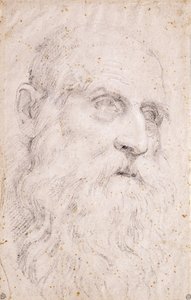 संत जेरोम के प्रमुख द्वारा Domenichino