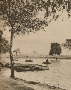 ब्लैकहैड पर, ग्रेटर लंडन्स मोस्ट हिस्टोरिक कॉमन, c1935। द्वारा डोनाल्ड मैकलेश