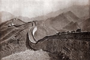  द्वारा डोनाल्ड मेनी