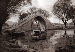  द्वारा डोनाल्ड मेनी