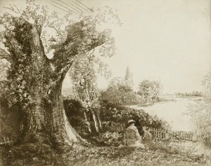  द्वारा डोनाल्ड शॉ MacLaughlan