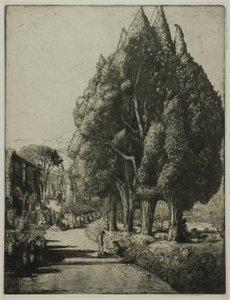  द्वारा डोनाल्ड शॉ MacLaughlan