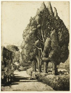  द्वारा डोनाल्ड शॉ MacLaughlan
