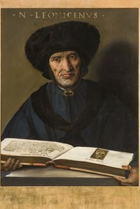 निकोलो लीकोनेनो, 1521 द्वारा दोसो दोसी