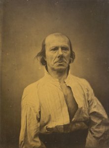 फेस इन रिपोज, 1854-1856, 1862 में छपा।