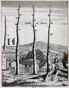 जन कॉमेलिन द्वारा डी नेदरलैंडज़ हेस्पराइड्स के फलों के पेड़, 1676 में प्रकाशित हुए द्वारा डच स्कूल