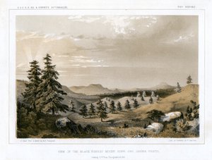 द ब्लैक फॉरेस्ट माउंट होप और सिएरा प्रीटा, यूएसए, 1856। द्वारा ई स्टाउट