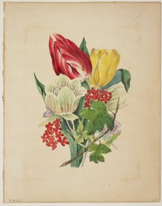 फ्लोरा की डिक्शनरी, 1838 से ट्यूलिप का गुलदस्ता