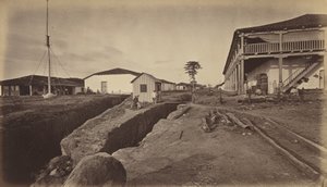 एकजुटला, 1877। द्वारा एडवियर्ड मुयब्रिज