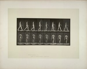एनिमल लोकोमोशन: मेल पेल्विस क्लॉथ, 1887। द्वारा एडवियर्ड मुयब्रिज