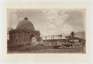  द्वारा एडवियर्ड मुयब्रिज
