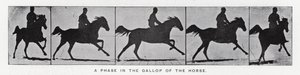 Eadweard Muybridge: घोड़े की सरपट में एक चरण (b/w फोटो) द्वारा एडवियर्ड मुयब्रिज