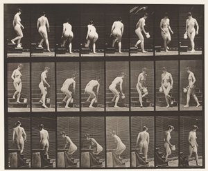प्लेट 150. अवरोही सीढ़ियाँ; स्टोपिंग, लिफ्टिंग पिचर, टर्निंग, 1872-1885 द्वारा एडवियर्ड मुयब्रिज