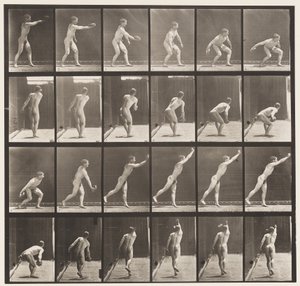 प्लेट 307. एक लोहे की डिस्क को फेंकना, 1872-1885 द्वारा एडवियर्ड मुयब्रिज