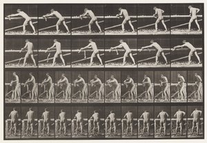 प्लेट 379. बढ़ई, एक बोर्ड की योजना, 1872-1885 द्वारा एडवियर्ड मुयब्रिज