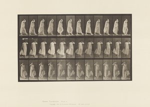 प्लेट 37. वॉकिंग, लेफ्ट हैंड होल्डिंग ड्रेस, राइट हैंड एट फेस, 1872-1885 द्वारा एडवियर्ड मुयब्रिज