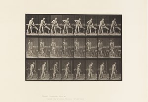 प्लेट 380. बढ़ई, सेविंग, 1872-1885 द्वारा एडवियर्ड मुयब्रिज