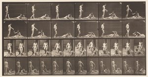 प्लेट 485. दो मॉडल; ए, 10 स्टैंडिंग एंड फिलिंग अ गोबल ;, 1872-1885 द्वारा एडवियर्ड मुयब्रिज
