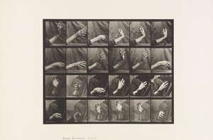 प्लेट 535. हाथ का आंदोलन; बीटिंग टाइम, 1885