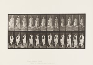 प्लेट 71. आयामी, 1885 द्वारा एडवियर्ड मुयब्रिज