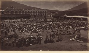  द्वारा एडवियर्ड मुयब्रिज