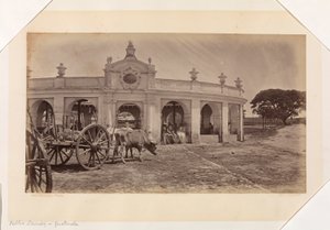  द्वारा एडवियर्ड मुयब्रिज