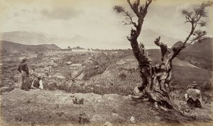  द्वारा एडवियर्ड मुयब्रिज
