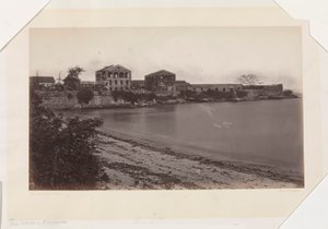  द्वारा एडवियर्ड मुयब्रिज