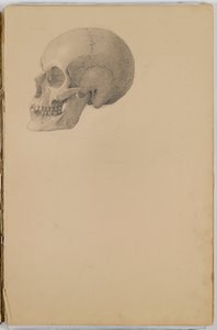 एनाटॉमी स्केच बुक, 1849 (ग्रेफाइट में चित्र युक्त स्केचबुक)