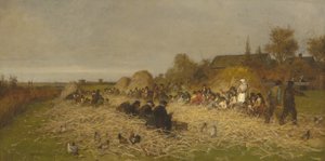 हॉकिंग बी, नांकेट का द्वीप, 1876