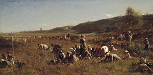 क्रैनबेरी हार्वेस्ट। नांकेट का द्वीप, 1880 द्वारा ईस्टमैन जॉनसन