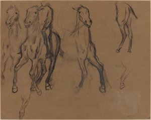 घोड़े का अध्ययन, c.1886 (भूरे रंग के कागज पर चारकोल और ग्रेफाइट) द्वारा एडगर डीगास