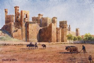  द्वारा एडगर टीए विग्राम