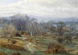Hampstead हीथ हिल पर हैरो की तलाश में, c.1880 (कागज पर wc) द्वारा एडिथ मार्टिनो
