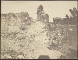  द्वारा एडवर्ड बाल्डस