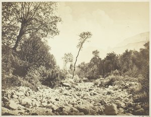वोरपे डौफिन, सी। 1855. द्वारा एडवर्ड बाल्डस