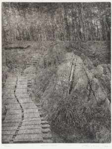 लाइट ट्रेल, 1994