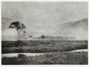 ओज मिस्ट, 1993