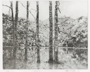 साई-नो-को, 1992