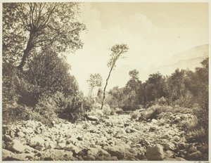  द्वारा एडौर्ड डेनिस बाल्डस