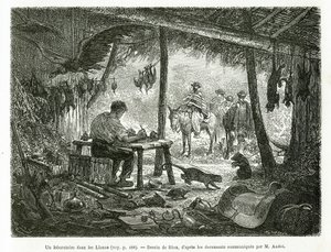 1875-1876 में एड द्वारा इक्विनोक्सियल अमेरिका (कोलंबिया, इक्वाडोर, पेरू) की कहानी को चित्रित करने के लिए, रियो द्वारा चित्रित, ललनोस (कोलंबिया) के क्षेत्र में कुंवारी जंगल में एक टैक्सिडेरमी प्रयोगशाला। आंद्रे, फ्रांसीसी सरकार द्वारा यात्री मिशन प्रभार। एं द्वारा एडौर्ड रिउ