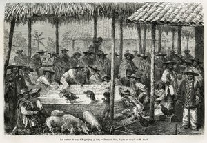 1875-1876 में एड द्वारा इक्विनोक्सियल अमेरिका (कोलंबिया, इक्वाडोर, पेरू) की कहानी को चित्रित करने के लिए रियो द्वारा ड्राइंग, इबाग (कोलंबिया) में कॉकफाइटिंग और स्ट्रीट एनीमेशन। आंद्रे, फ्रांसीसी सरकार द्वारा यात्री मिशन प्रभार। ले टूर डू मोंडे में उत्कीर्ण द्वारा एडौर्ड रिउ
