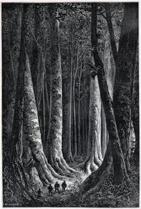 फ्रेंच गुयाना फ़ॉरेस्ट, रियो द्वारा ड्राइंग, "" ले टूर डू मोंडे ", दूसरा सप्ताह। १८७९.