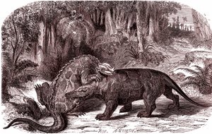  द्वारा एडौर्ड रिउ