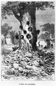 कैनबल्स का पेड़, जूल्स वर्ने (1828-1905) पेरिस, हेट्ज़ेल द्वारा &39;फाइव वीज़ इन ए बैलून&39; का चित्रण द्वारा एडौर्ड रिउ