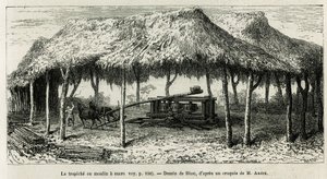 1875-1876 में एड द्वारा इक्विनोक्सियल अमेरिका (कोलंबिया, इक्वाडोर, पेरू) की कहानी को चित्रित करने के लिए, रियो द्वारा चित्रित, पंचे (कोलंबिया) में बेंत पीसने के लिए ट्रेपिच, या चीनी मिल। आंद्रे, फ्रांसीसी सरकार द्वारा यात्री मिशन प्रभार। ले टी में उत्कीर्ण द्वारा एडौर्ड रिउ