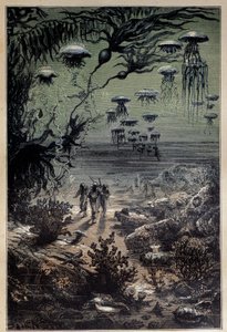 पानी के नीचे का फर्श। जूल्स वर्ने (1828-1905) 19वीं सदी के निजी संग्रह के उपन्यास "ट्वेंटी हज़ार लीग्स अंडर द सीज़" के लिए एडौर्ड रियो (1833-1900) द्वारा चित्रण