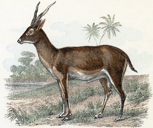  द्वारा एडौर्ड ट्रैविस