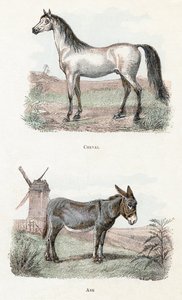  द्वारा एडौर्ड ट्रैविस